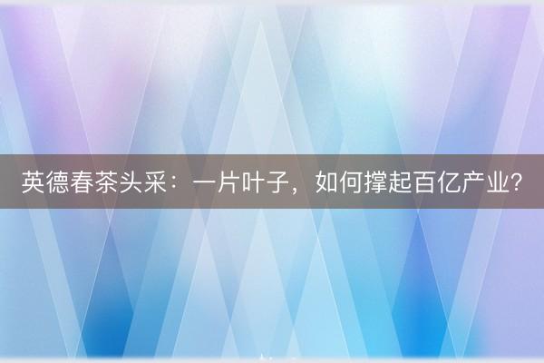 英德春茶头采：一片叶子，如何撑起百亿产业？
