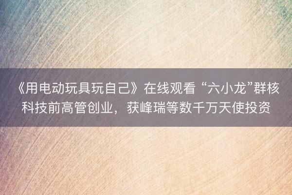 《用电动玩具玩自己》在线观看 “六小龙”群核科技前高管创业，获峰瑞等数千万天使投资