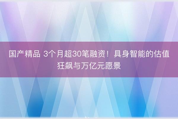 国产精品 3个月超30笔融资！具身智能的估值狂飙与万亿元愿景