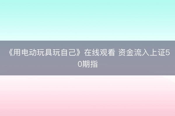 《用电动玩具玩自己》在线观看 资金流入上证50期指