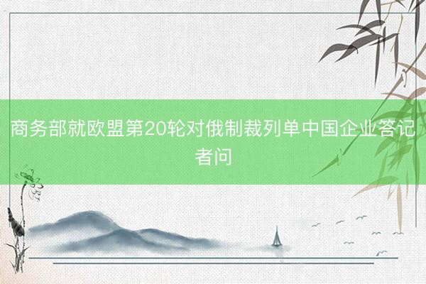 商务部就欧盟第20轮对俄制裁列单中国企业答记者问