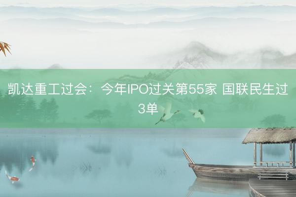 凯达重工过会：今年IPO过关第55家 国联民生过3单