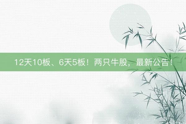 12天10板、6天5板！两只牛股，最新公告！