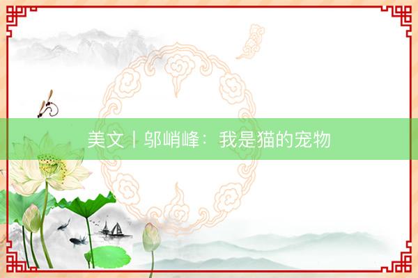 美文丨邬峭峰：我是猫的宠物
