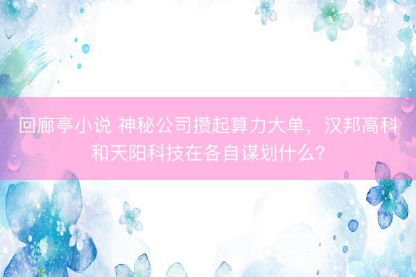 回廊亭小说 神秘公司攒起算力大单，汉邦高科和天阳科技在各自谋划什么？