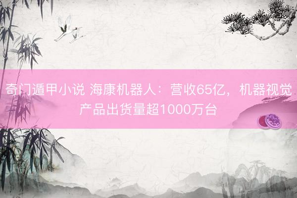 奇门遁甲小说 海康机器人：营收65亿，机器视觉产品出货量超1000万台