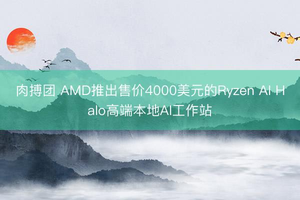 肉搏团 AMD推出售价4000美元的Ryzen AI Halo高端本地AI工作站