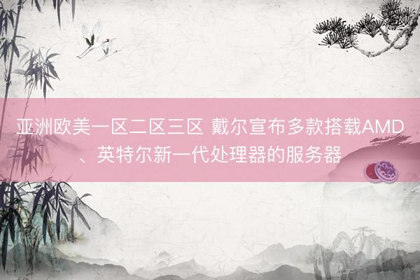 亚洲欧美一区二区三区 戴尔宣布多款搭载AMD、英特尔新一代处理器的服务器