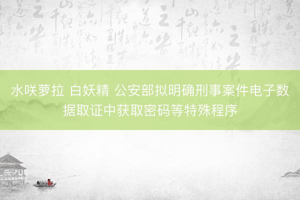 水咲萝拉 白妖精 公安部拟明确刑事案件电子数据取证中获取密码等特殊程序