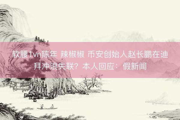 软腰1vn陈年 辣椒椒 币安创始人赵长鹏在迪拜冲浪失联？本人回应：假新闻