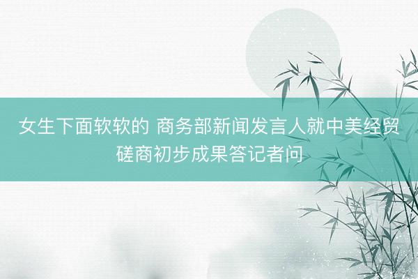 女生下面软软的 商务部新闻发言人就中美经贸磋商初步成果答记者问