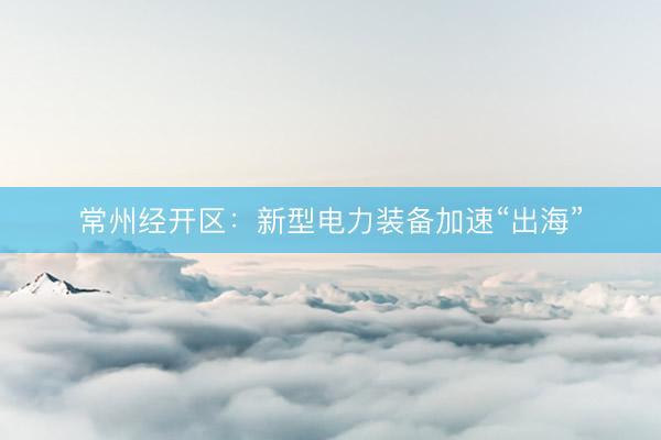 常州经开区：新型电力装备加速“出海”