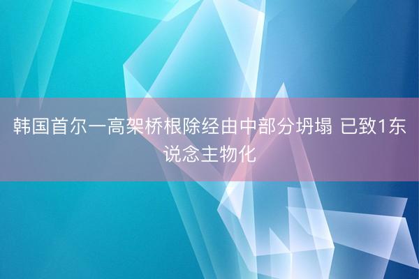 韩国首尔一高架桥根除经由中部分坍塌 已致1东说念主物化