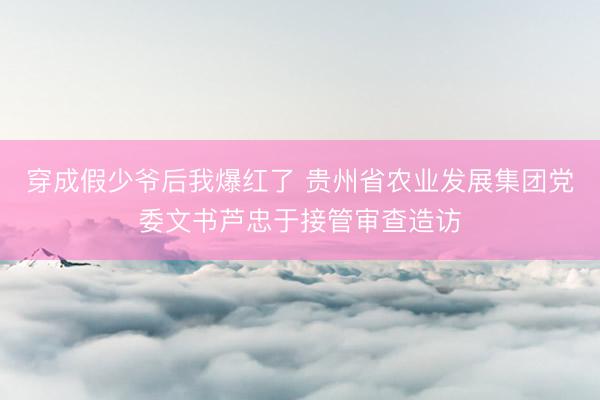 穿成假少爷后我爆红了 贵州省农业发展集团党委文书芦忠于接管审查造访