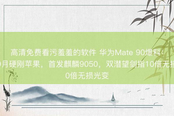 高清免费看污羞羞的软件 华为Mate 90爆料：提档9月硬刚苹果，首发麒麟9050，双潜望剑指10倍无损光变