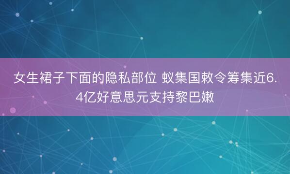女生裙子下面的隐私部位 蚁集国敕令筹集近6.4亿好意思元支持黎巴嫩