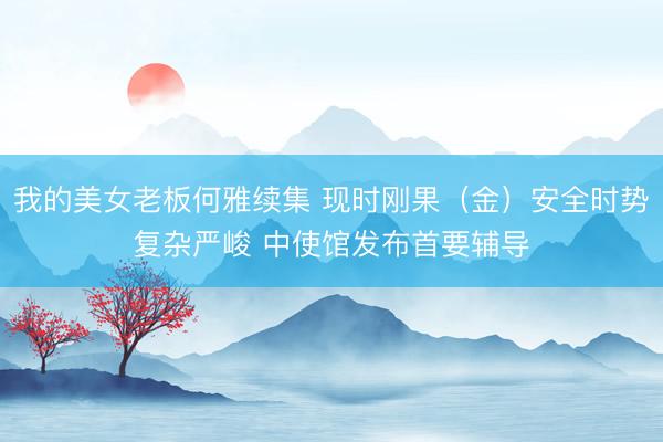 我的美女老板何雅续集 现时刚果（金）安全时势复杂严峻 中使馆发布首要辅导