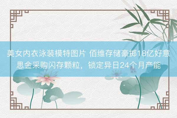 美女内衣泳装模特图片 佰维存储豪掷18亿好意思金采购闪存颗粒，锁定异日24个月产能