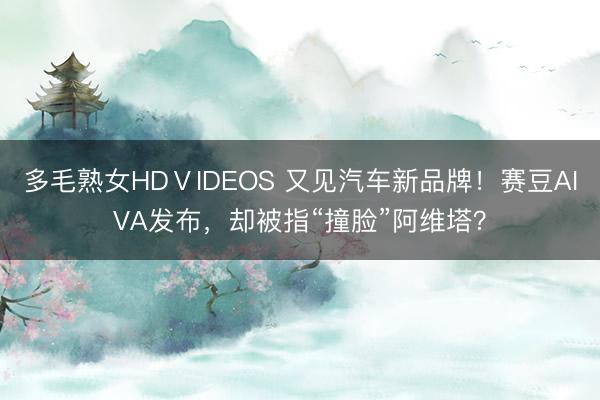多毛熟女HDⅤIDEOS 又见汽车新品牌！赛豆AIVA发布，却被指“撞脸”阿维塔？