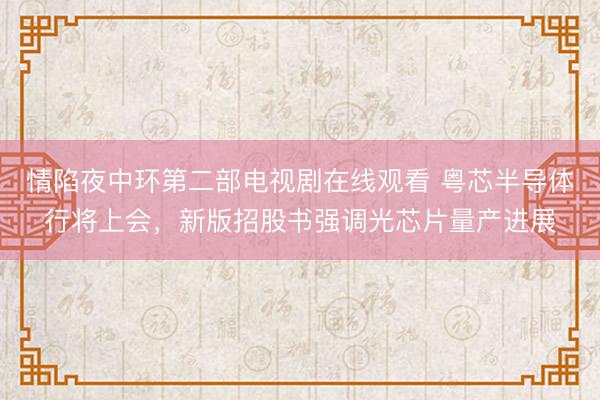 情陷夜中环第二部电视剧在线观看 粤芯半导体行将上会，新版招股书强调光芯片量产进展