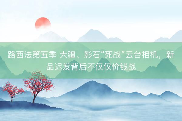 路西法第五季 大疆、影石“死战”云台相机，新品迟发背后不仅仅价钱战