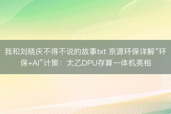 我和刘晓庆不得不说的故事txt 京源环保详解“环保+AI”计策:太乙DPU存算一体机亮相