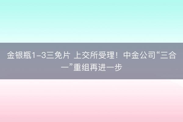 金银瓶1-3三免片 上交所受理！中金公司“三合一”重组再进一步