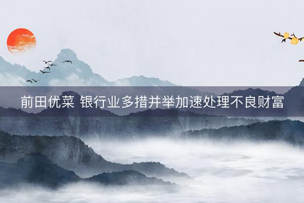 前田优菜 银行业多措并举加速处理不良财富