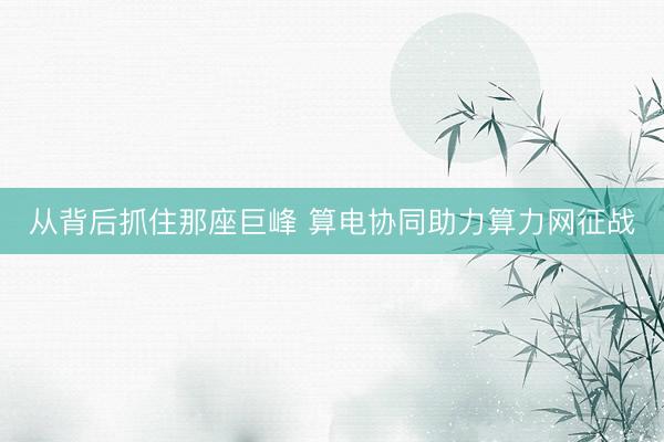 从背后抓住那座巨峰 算电协同助力算力网征战