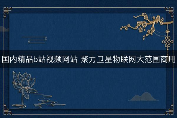 国内精品b站视频网站 聚力卫星物联网大范围商用