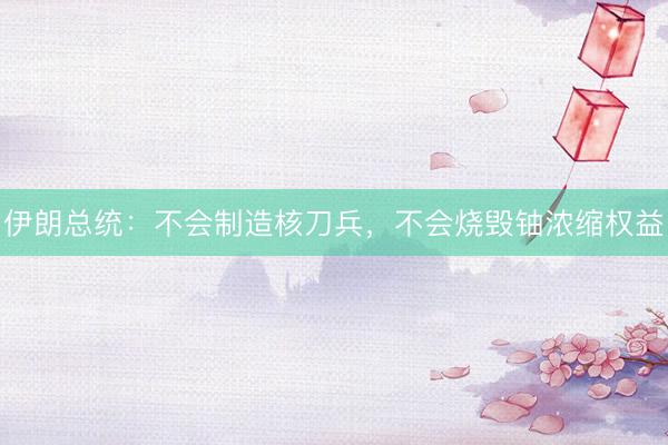 伊朗总统：不会制造核刀兵，不会烧毁铀浓缩权益