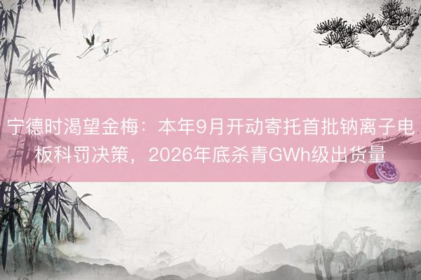 宁德时渴望金梅：本年9月开动寄托首批钠离子电板科罚决策，2026年底杀青GWh级出货量