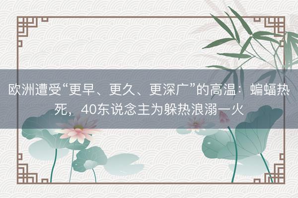 欧洲遭受“更早、更久、更深广”的高温：蝙蝠热死，40东说念主为躲热浪溺一火